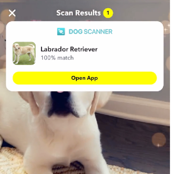 El Scan de Snapchat te permite escanear perritos para conocer el nombre de su raza - Blog Hola Telcel