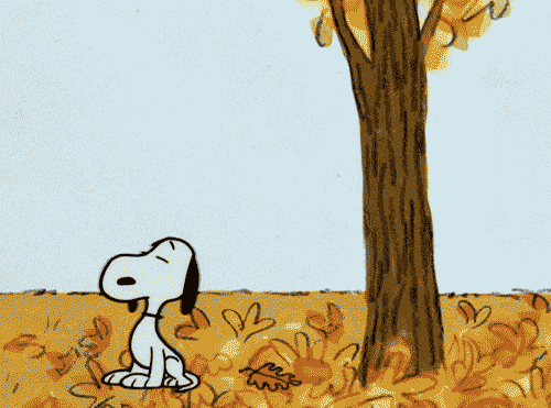Snoopy feliz por la llegada del otoño en México.- Blog Hola Telcel
