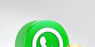 ¿Qué es lo que pasa si un usuario reporta tu cuenta de WhatsApp?- Blog Hola Telcel