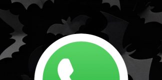 Así puedes cambiar el ícono de WhatsApp a un diseño de Halloween.- Blog Hola Telcel