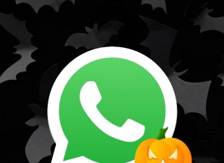 Así puedes cambiar el ícono de WhatsApp a un diseño de Halloween.- Blog Hola Telcel