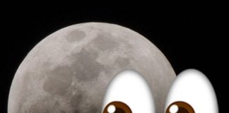 Eclipse lunar y lluvia de estrellas entre los fenómenos astronómicos de noviembre.- Blog Hola Telcel