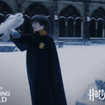 harry-potter-hedwig-navidad