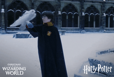 Harry Potter escenas eliminadas primera película.- Blog Hola Telcel 
