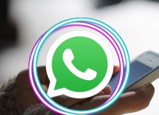 WhatsApp: ¿Cómo saber si alguien está ‘en línea' sin entrar a la app?- Blog Hola Telcel