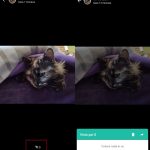 Cómo saber quiénes ven mis estados de WhatsApp – Blog Hola Telcel