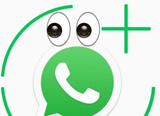 Descubre quién ve tus estados de WhatsApp con esta guía - Blog Hola Telcel