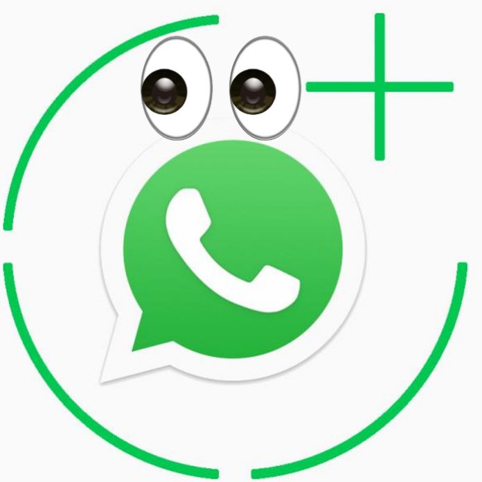 Descubre quién ve tus estados de WhatsApp con esta guía - Blog Hola Telcel
