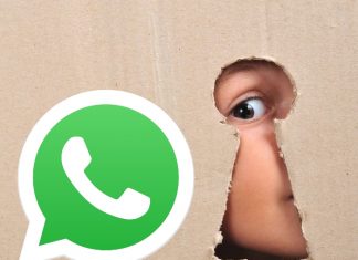 WhatsApp: ¿Cómo saber con quién más chatean tus contactos?- Blog Hola Telcel