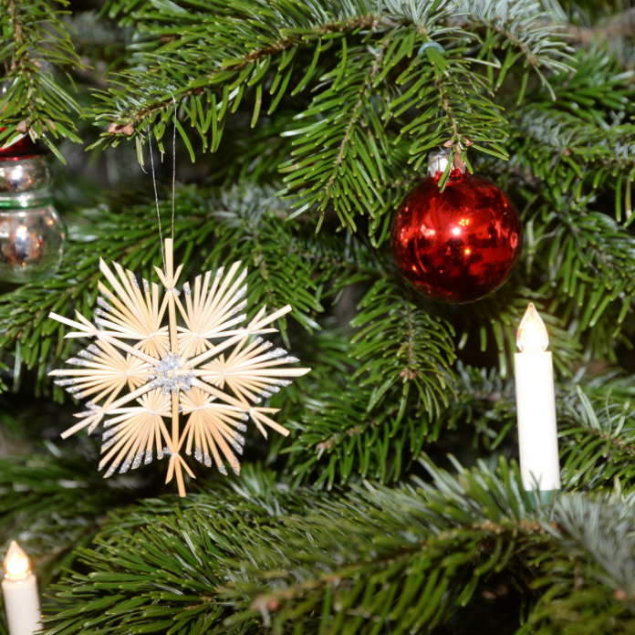 Formas de reutilizar tu arbolito de Navidad natural- Blog Hola Telcel
