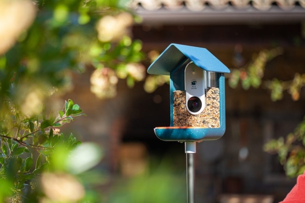 Bird Buddy es un comedero inteligente para aves que puede rastrear y nombrar a todos los pájaros que se alimenten ahí.- Blog Hola Telcel 