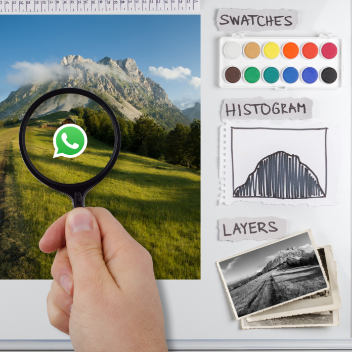 ¿Cómo poner en blanco y negro o pixelear tus fotos desde WhatsApp? - Blog Hola Telcel