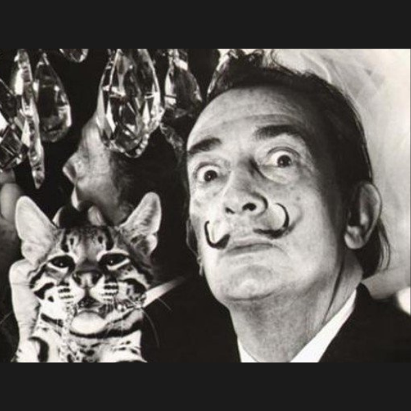 Salvador Dalí tenía un gato igual de extravagante que su propia personalidad, conócelo.-Blog Hola Telcel