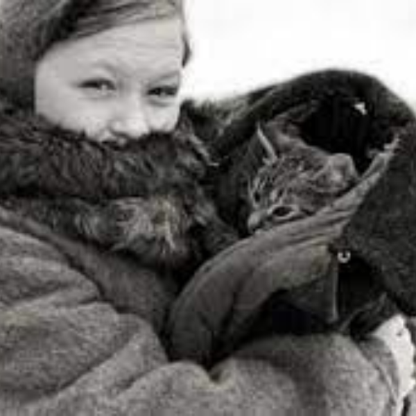 Conoce a Vaska, el gato que alimentó a su familia durante los tiempos de escasez en la Segunda Guerra Mundial.-Blog Hola Telcel