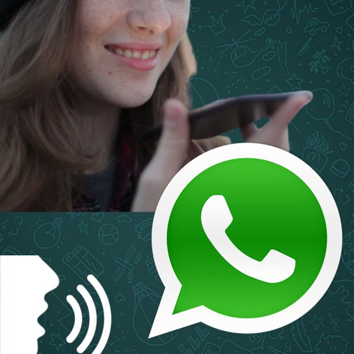 Ondas de voz para saber quién habla exactamente en las llamadas de voz de WhatsApp - Blog Hola Telcel
