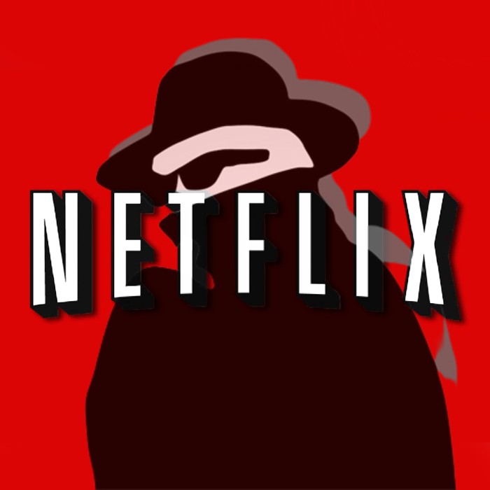 Descubre quién te roba la cuenta de Netflix - Blog Hola Telcel