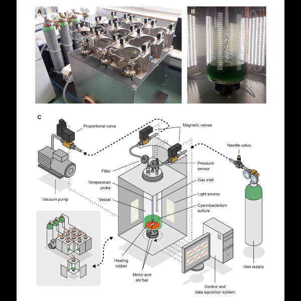 Atmos biorreactor para cultivar cianobacterias y pueda producirse oxígeno para los seres humanos en Marte - Blog Hola Telcel