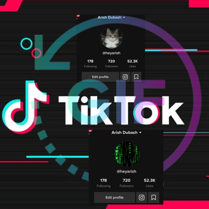 Usar gif o video en mi foto de perfil de TikTok - Blog Hola Telcel