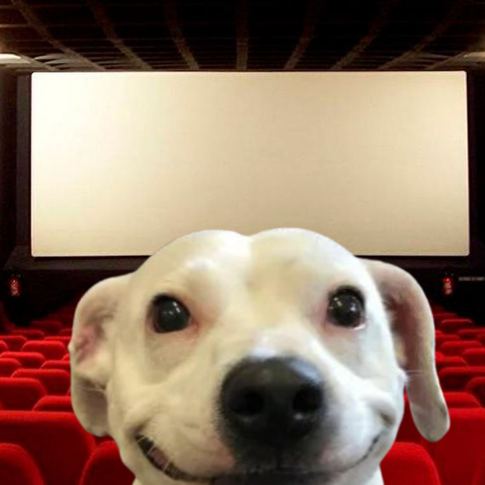 Cinemex recibe a perros en sus salas para ver Morbius junto a sus dueños - Blog Hola Telcel