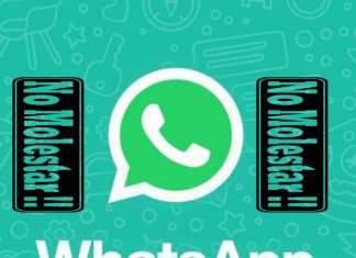 Desde Android y iPhone puedes desactivar las notificaciones de WhatsApp para chats grupales e individuales - Blog Hola Telcel