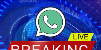 Estas son las nuevas funciones de WhatsApp.-Blog Hola Telcel