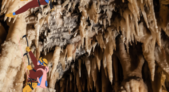 Posibles especies jamás vistas en un mundo subterráneo hallado en China