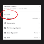 Sección de seguridad de TikTok, en esta sección podemos cambiar aspectos de seguridad de la cuenta.-Blog Hola Telcel