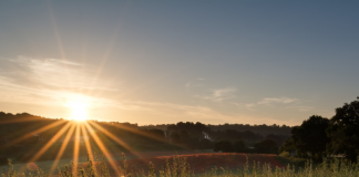 El solsticio de verano será hoy 21 de junio y puedes compartir las fotos y videos de este fenómenos climático a través de Telcel.- Blog Hola Telcel