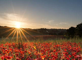 El solsticio de verano será hoy 21 de junio y puedes compartir las fotos y videos de este fenómenos climático a través de Telcel.- Blog Hola Telcel