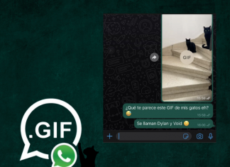 De esta forma puedes hacer GIF con WhatsApp.-Blog Hola Telcel