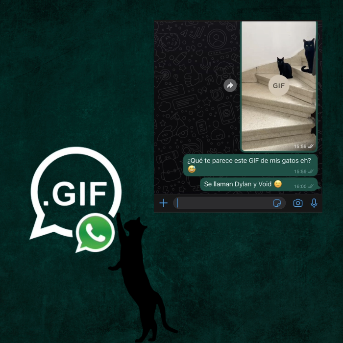 De esta forma puedes hacer GIF con WhatsApp.-Blog Hola Telcel