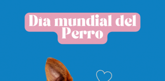 Día mundial del perro se celebra para incentivar la adopción.- Blog Hola Telcel