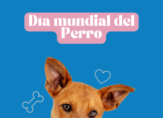 Día mundial del perro se celebra para incentivar la adopción.- Blog Hola Telcel