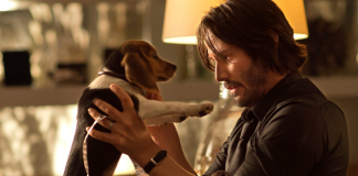 Keanu Reeves sosteniendo a su perro Daisy quien hace el dolor de la pérdida de su esposa más llevadero.- Blog Hola Telcel