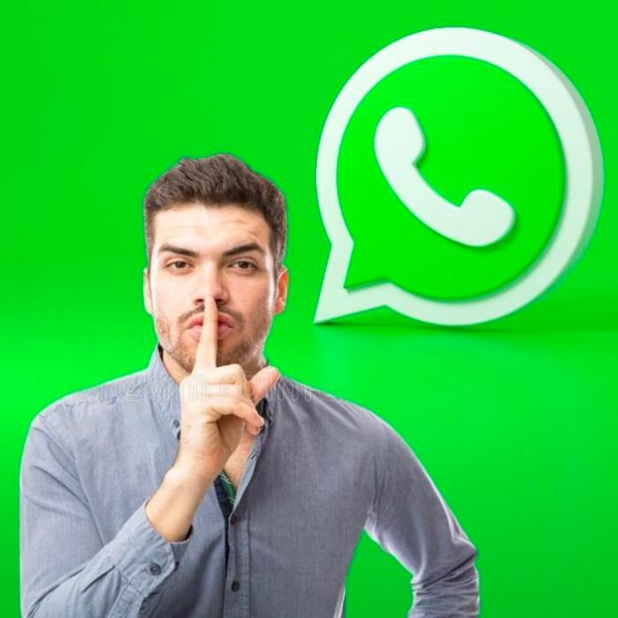 Cómo poner tu información de la app en blanco en WhatsApp.-Blog Hola Telcel
