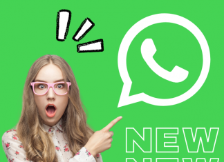 Adiós grupos de WhatsApp y otras novedades sobre la plataforma.-Blog Hola Telcel