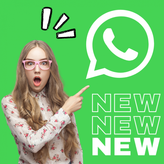 Adiós grupos de WhatsApp y otras novedades sobre la plataforma.-Blog Hola Telcel