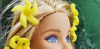 Conoce el primer avance de la nueva película de Barbie.- Blog Hola Telcel