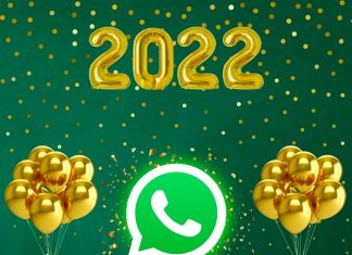 Conoce cuáles fueron las funciones de WhatsApp en 2022.-Blog Hola Telcel