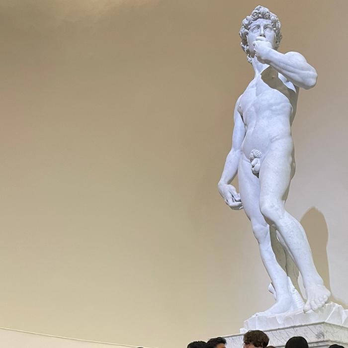 el David de Michelangelo fue una obra muy compleja para todos los artistas excepto para Michelangelo.- Blog Hola Telcel