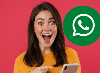 transferir archivos de WhatsApp ahora será más sencillo con la nueva función.- Blog Hola Telcel