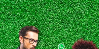 Conoce las novedades de WhatsApp que seguramente no conocías.-Blog Hola Telcel