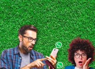 Conoce las novedades de WhatsApp que seguramente no conocías.-Blog Hola Telcel