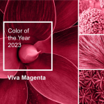 Viva Magenta-2