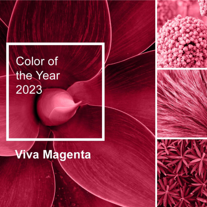 El viva magenta es el color del 2023 y enseguida te contamos todo sobre él.- Blog Hola Telcel