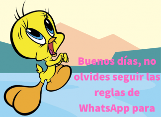 Conoce cómo puedes evitar que tu cuenta de WhatsApp sea dada de baja al enviar imágenes de Piolín.- Blog Hola Telcel