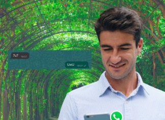 WhatsApp: ¿sabes qué significa que te escriban UwU y 7u7 en la app?.-Blog Hola Telcel