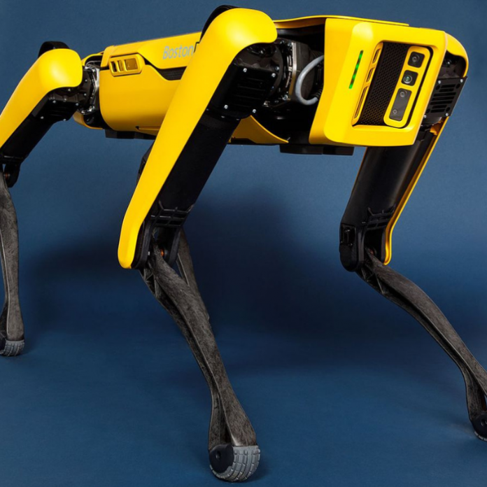 Conoce todo sobre el perro robot que usa ChatGPT.- Blog Hola Telcel