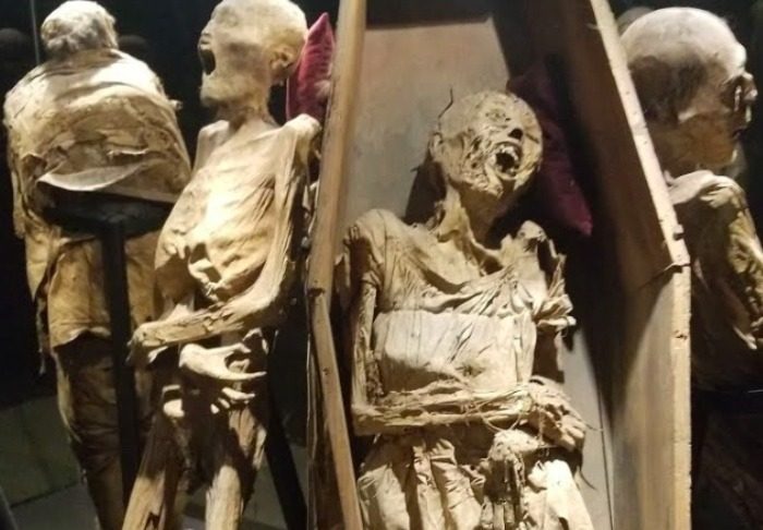 Experiencias Telcel 3 - Hola Telcel