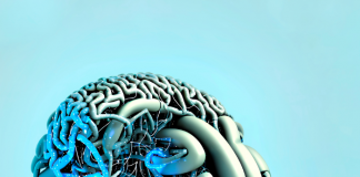 Conoce todo sobre el implate cerebral de Neuralink.- Blog Hola Telcel